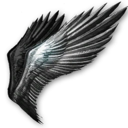 Warrior Wings (Bound)